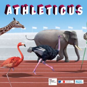 TICs en FLE: Dossier sport : les jeux / sports olympiques